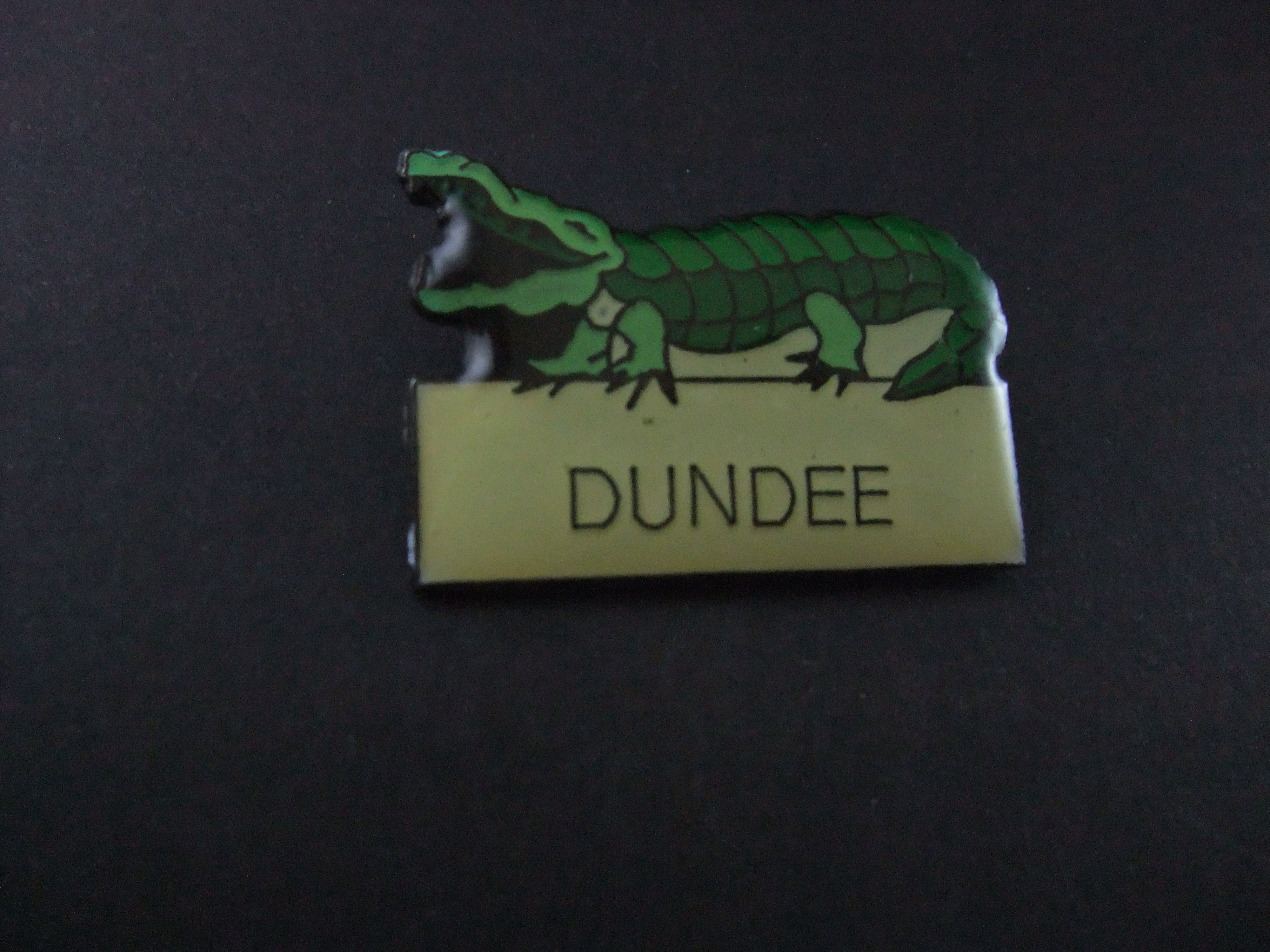 Krokodil ,Dundee ( reptiel)